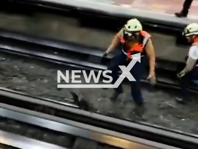 Employees try to capture a chicken on  the metro tracks in Mexico City, Mexico, on Monday, May 15, 2023. In the past few years the Metro has been  affected by a series of incidents  attributed to a lack of maintenance.  Note: Picture is a screenshot from a video (@MetroCDMX/Newsflash)