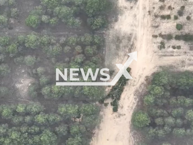 Picture shows camouflaged Russian 2A36 Giatsint-B field gun among trees in Eastern Ukraine, undated. The footage was released by the 406th Separate Artillery Brigade named after Corporal General Oleksiy Almazov on Thursday, May, 18, 2023. Note: Picture is a screenshot from a video (@406oabr/Newsflash)