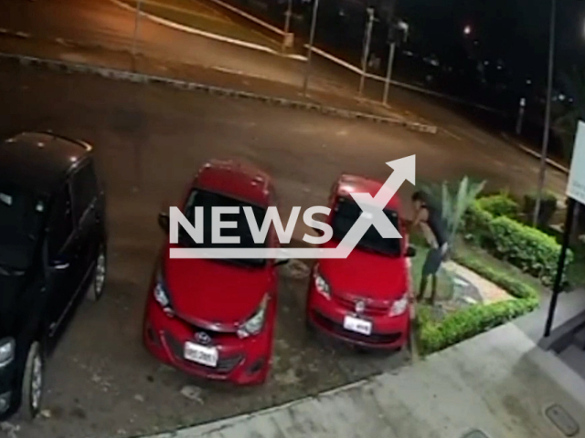 Thief arrested while he was stealing objects from inside a vehicle in March 2022 in Asa Norte, Brasilia. Note: This picture is a screenshot from the video (PMDF/Newsflash).