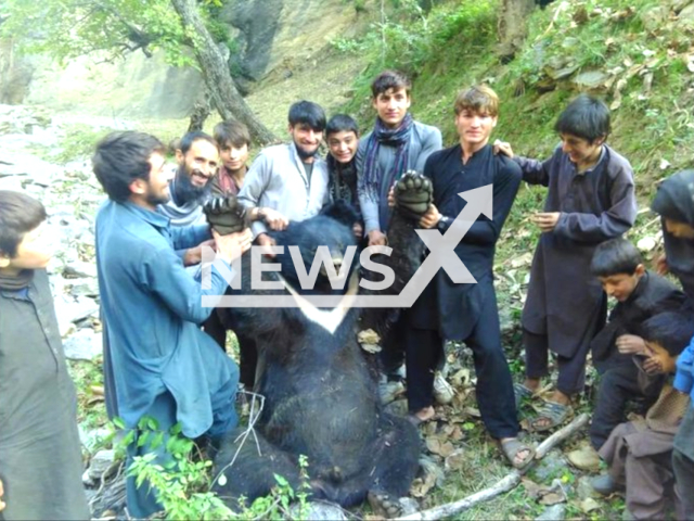 Photo shows the Asian black bear captured by some locals in Nuristan, Afghanistan, undated. The bear was captured and then killed when it came to the riverside to drink water. Note: Private photo. (Newsflash)