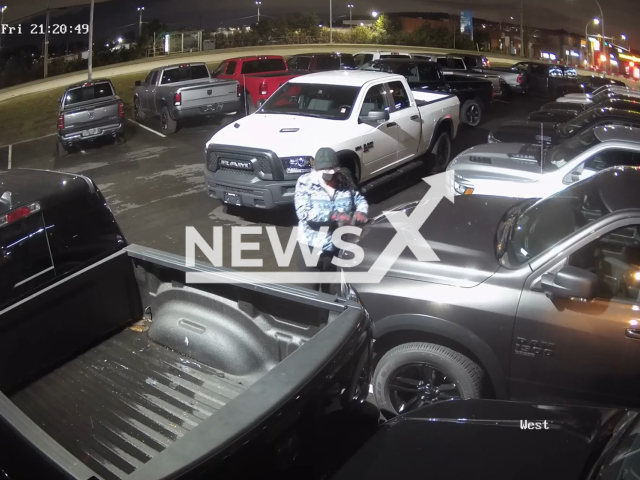 Suspect damaging multiple vehicles parked in a parking lot during the night time in Canada, between January and April 2023. Initial estimates indicate that close to 400 vehicles were damaged. Note: Picture is a screenshot from a video (Coquitlam RCMP/Newsflash)