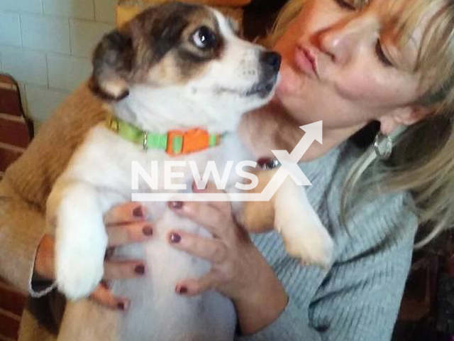 Picture shows Nadia Terenzi , 56, with the dog, undated. She and her dog were attacked by a wolf in Palombaro, Italy. Note: Private photo. (Nadia Terenzi/Newsflash)