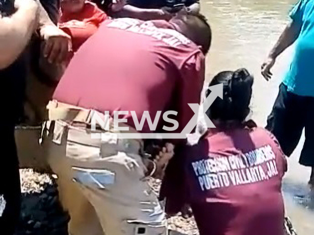 Civil protection team assists woman bitten by a crocodile in Puerto Vallarta, Mexico, undated. She rescued a child walking with a dog when the reptile followed them. Note: Image is a screenshot from video. (Newsflash)