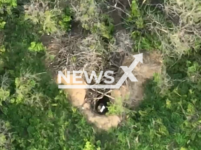 Picture shows Russian soldiers in the dugouts near Bakhmut in Ukraine in undated footage. The footage was released by the Oleksandr Stanislavovych Syrsky commander of the Ground Forces of the Ukrainian Armed Forces on Wednesday, May, 24, 2023. 
Note: This picture is a screenshot from the video. (@osirskiy/Newsflash)