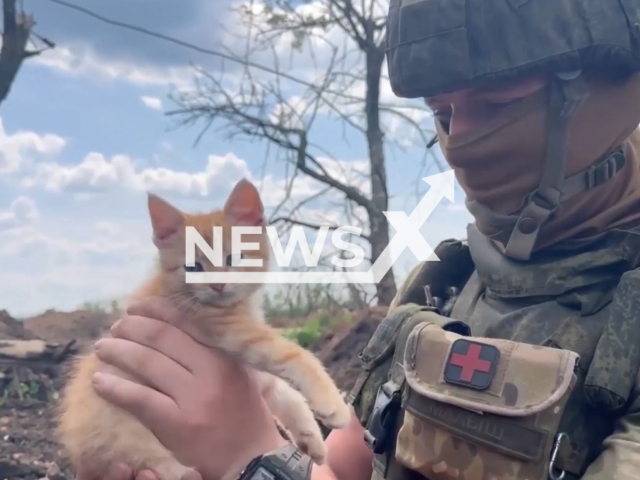 Tula paratrooper holds cat Gosha that lives with soldiers in one of military strongholds in Ukraine in undated footage. The footage was released by Russian MoD on Wednesday, May, 24, 2023. Note: This picture is a screenshot from the video. (@mod_russia/Newsflash)