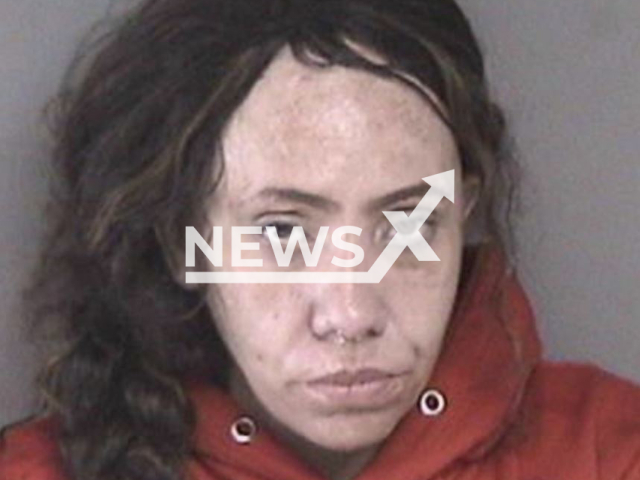 Brandy Jones, 41,   arrested for car theft drove another stolen car to court appearance, on 28th March, in Dublin , California, USA. Note: Police photo. (Dublin Police Services/Newsflash)