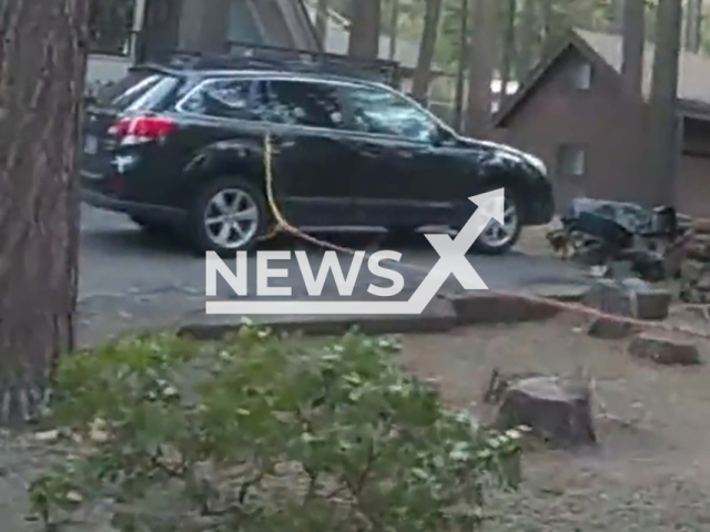 A patrol officer frees a bear from the backseat of a crossover sedan at Lake Tahoe, Nevada, USA, undated. The rescue mission seemed to involve attaching a rope to the handle of the car's back door, then pulling from a safe distance. Note: This picture is a screenshot from the video. (@WashoeSheriff/Newsflash)