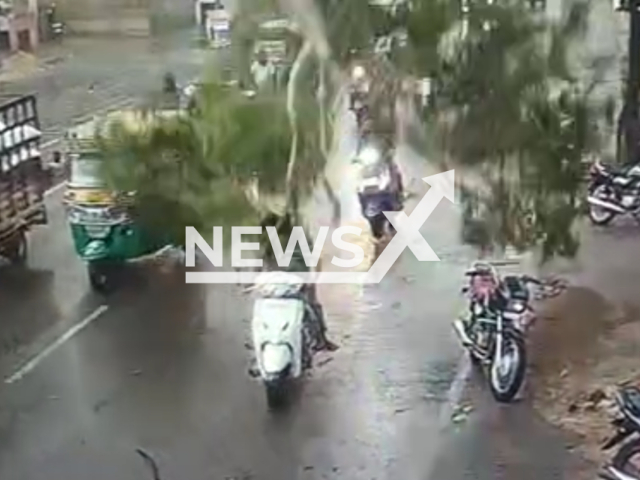 Description: A tree branch falls on the road in Jodhpur, India, undated. Three people injured as a result of the incident. Notes: Photo is screen from the video.(Newsflash)